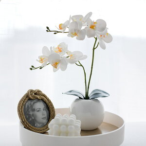 WillingYou  Ӓ 1Zbg CeA u[P ԍ t[AWg kX^C lHϗtA  Vv ze ItBX X Ƃ̑ ̓ v[g Mtg ̂