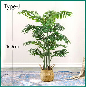 tFCNO[ ϗtA tFCN lHϗtA ^ t120cm/140cm/160cm Mт̃V̖ G}  ϗt CeA A  j    tBJX Ex[^ lC 