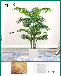 tFCNO[ ϗtA tFCN lHϗtA ^ t120cm/140cm/160cm Mт̃V̖ G}  ϗt CeA A  j    tBJX Ex[^ lC 