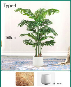 tFCNO[ ϗtA tFCN lHϗtA ^ t120cm/140cm/160cm Mт̃V̖ G}  ϗt CeA A  j    tBJX Ex[^ lC 