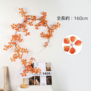 urTvWillingYou tFCNO[  ݂艺 nMO ϗtA  160cm Ǌ| CeAO[ GKg DIY y 1{Zbg