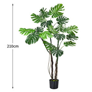 urTvtFCNO[ ϗtA ^ l AJV Xe n˖ mԎ  A  Ή CeA ItBX ze X GgX  JX