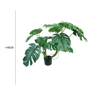 urTvtFCNO[ ^ lHϗtA Xe ϗt 105cm  ΂t  ItBX A CeA