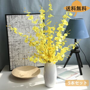 uoׁvuvtFCNt[  CeA A[gt[ ԑ x闖 5{ t[ v[g Mtg 蕨 JXj a    ItBX ԕrȂ 