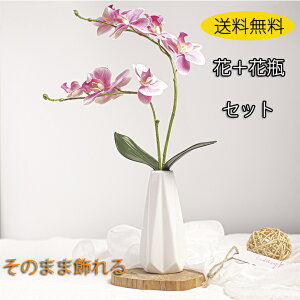 uvӒ j Mtg v[g  J J@  A G}  ړ] AC i ސE җ Ê  P c  kC B a @l  J  T