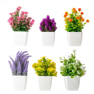 uo 12܂ŁvWillingYou 6_Zbg ~j ϗtA tFCN O[  bsv  Mtg