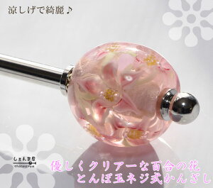 DNA[ȕS̉*ƂڋʃlW 񂴂i莝̂ƂڋʂɒւOKIjyyΉzy Ղ  [ az