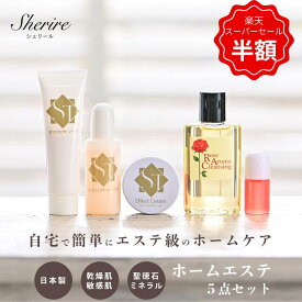 【スーパーSALE半額】トラベルセット エフェクトクリーム ホームエステセット スキンケア トライアルセット お試し 肌悩み 医薬部外品 美肌 シミ 肝斑 傷跡 クリーム 首しわ エイジングケア 保湿 肌改善 紫外線 敏感肌 乾燥肌 無添加 クレンジング 洗顔 化粧水 40代 50代