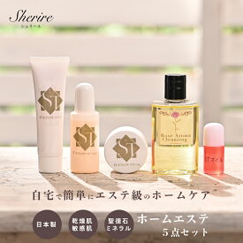 トラベルセット エフェクトクリーム ホームエステセット スキンケア トライアルセット お試し 肌悩み 医薬部外品 美肌 シミ 肝斑 傷跡 クリーム 首しわ エイジングケア 保湿 肌改善 紫外線 敏感肌 乾燥肌 無添加 クレンジング 洗顔 化粧水 40代 50代 60代