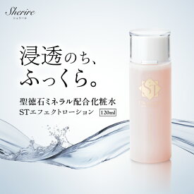 化粧水 ST エフェクトローション 保湿化粧水 サロン専売品 高保湿 ヒアルロン酸 しっとり 敏感肌 乾燥肌 肌荒れ 目元 美白ケア 低刺激 紫外線ダメージ エイジングケア 肝斑 聖徳石ミネラル 美容液 潤い 毛穴 ニキビ跡 浸透化粧水 植物エキス 40代 50代