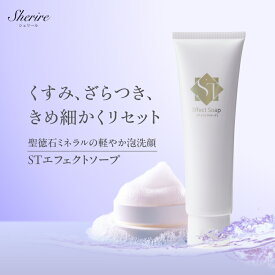 洗顔料 STエフェクトソープ 100g 敏感肌 乾燥肌 聖徳石ミネラル 弱酸性 洗顔ソープ 洗顔フォーム 泡 コラーゲン 甘草エキス しっとり 保湿 スキンケア 角質ケア 肌荒れ くすみ 皮脂 毛穴ケア W洗顔 潤い つっぱらない 肌に優しい 泡切れ 軽い泡 40代 50代 60代 サロン専売品
