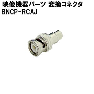 yԌ!|Cg10{zf@p p[c BNCP-RCAJ ϊRlN^