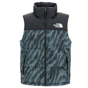 m[XtFCX _ExXg 1996g Y kvV ubN+O[vgMtg v[g bsO 蕨 a NX}XTHE NORTH FACE MEN'S PRINTED 1996 RETRO NUPTSE VESTBalsam Green 