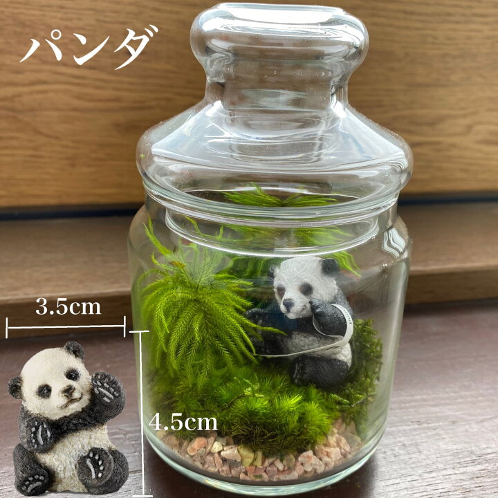 返品送料無料 Diy テラリウム フィギュア ドールハウス ミニチュア 箱庭用 象 エレファント 苔テラリウム アクアリウム スノードーム コケ 苔 ハンドメイド Materialworldblog Com