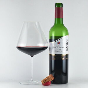 Ci[ WplXN }XJbgx[[A R`[{C][ԃC]