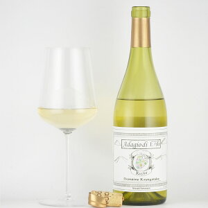 �h���[�k�����x�@�h�A�_�[�W���E�f�B�E��m�R�h�@�b�B�@�B��@�R��[���{���C��][�����C��]