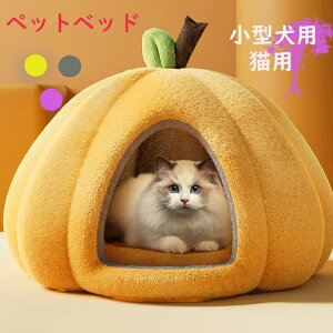 Lxbhh[^ ybgxbh Lp ^p g p  g ~΍ ybgnEX ^ }bgt  g ӂӂ J{`^ h Lbgxbh  