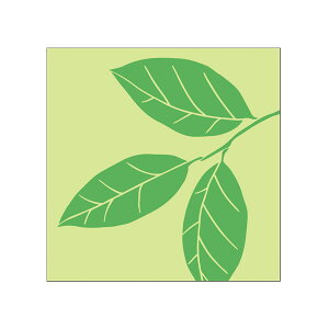 gC}[NXebJ[ jEamEaEjqgCp TL-120-E01 sNgOV[