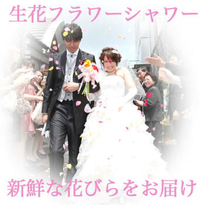 楽天市場 ポイント10倍 楽天スーパーセール 生花フラワーシャワー ひとつまみで約25名様分 ひと掴みで約10名様分 全てバラを使用しています 使用日の前日にお届けします 涼しい所で保管して下さい Hanasaki レンタルとギフト しあわせ創庫