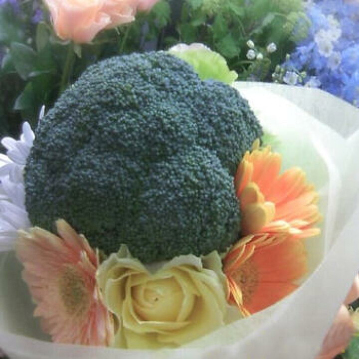 楽天市場 ポイント5倍 0と5のつく日sale ブロッコリーブーケ 会場へ直接配送可能 結婚式 挙式 パーティー 二次会 挙式演出 ブロッコリートス 男性用ブーケ プレゼント おすそ分け 生花 Hanasaki レンタルとギフト しあわせ創庫