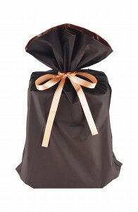 CANZT[pMtgbsOin܁{jCANZT[pMtgbsOin܁{j