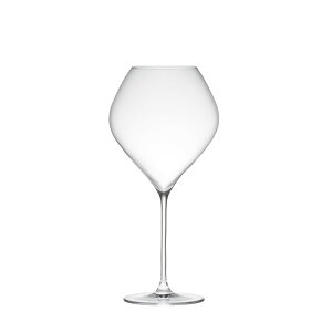 COX ؑɎqX c 28ozuS[j