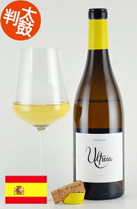 EEyX EgCA Sf[ XyCC C _̎