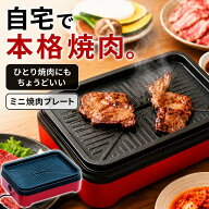 ミニ焼肉コンロ 電気 焼肉プレート ミニホットプレート 卓上 焼き鳥 焼肉 海鮮焼き コンパクト設計 匂い…