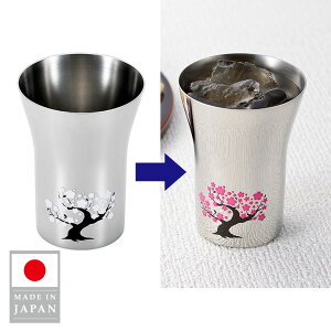 y{zO  XeX^u[ 300ml  Mtg ̓ hV̓ ̓ 蕨 CoEh COւ̂yY EJK-300 ̓ v[g pI 