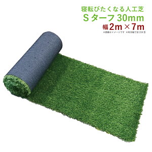 A lH iȐlH Ax_ɍœK Ől-΂񂿂- S^[t30mm 2m×7miO[jyRCPz