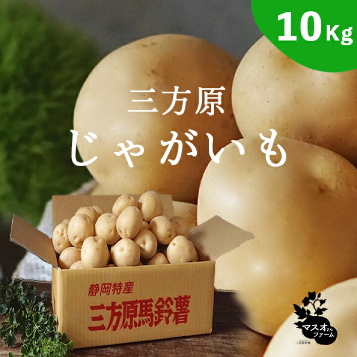 楽天市場】三方原馬鈴薯【10kg】じゃがいも マスオさんファーム L 