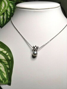 y11/20-27Gg[P10{zk悠܂lkl`IWilbNX`i`O[8~@WRjAy_glbNX