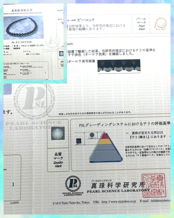 楽天市場】〔送料無料〕オーロラピーコック8.1mmx11.0mm真珠 