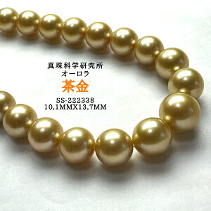 〔動画あります〕【真珠科学研究所オーロラ茶金10.1mmx13.7mm】ネックレス 白蝶真珠 パールネックレス セット(真珠科学研究所 最高品質 本真珠)入学式 卒業式 母の日
