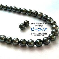 楽天市場】真珠 黒蝶の通販