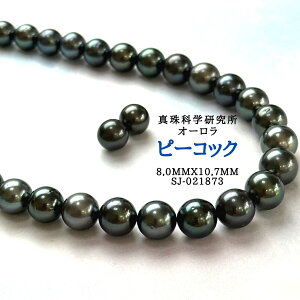 y^ȊwI[s[RbN8.0mmx10.7mm2_SETzlbNX ^ p[lbNX i^Ȋw ōi {^j w Ǝ ̓