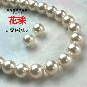 k悠܂ly^Ȋw I[Ԏ9.0mmx9.5mm2_SETziPSH擾ρjԎӕʏ lbNX p[lbNX i^lbNX AR^ ōi {^j w Ǝ