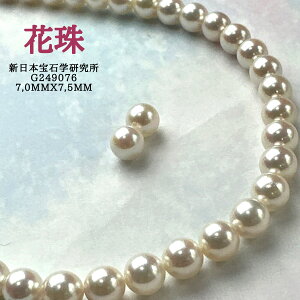 yNGLԎ7.0mmx7.5mmCO sAX2_SETziPSH擾ρjԎ ӕʏ lbNX 2_Zbg 7.0mmx7.5mm p[lbNX i^ lbNX AR^ ōi {^jNX}X N