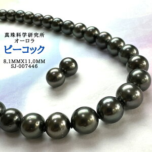 kly^ȊwI[s[RbN8.1mmx11.0mm2_SETzlbNX ^ p[lbNX i^Ȋw ōi {^j w Ǝ ̓