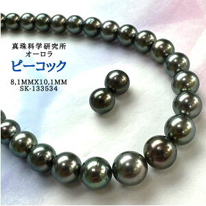 y^ȊwI[s[RbN8.1x10.1mmCO sAX2_SETz lbNX ^ p[lbNX Zbgi^Ȋw ōi {^j w Ǝ ̓ NX}X