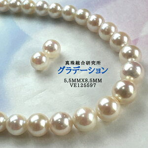 yyVX[p[Z[P10{ő20OFFzy^쑍 Of[V 5.5mmx8.5mmCO sAX2_SETziPSH擾ρjӕʏ lbNX p[lbNX i^lbNX AR