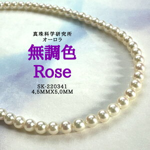 kly^ȊwI[[4.5mmx5.0mmzlbNX AR^ p[lbNXi^Ȋw F {^j w Ǝ ̓