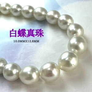 y11/20-27Gg[P10{zk悠܂l^12.6mmx10.0mmlbNX p[lbNX i^lbNX ^ ōi j w Ǝ ̓