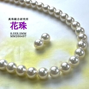 y^쑍 Ԏ 8.0mmx8.5mm2_SETziPSH擾ρjԎӕʏ lbNX 8.0mmx8.5mm i^lbNX AR^ ōi {^j w Ǝ@̓ Mtg