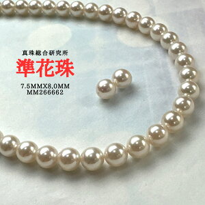 y^쑍 Ԏ7.5mmx8.0mm2_SETziPSH擾ρjӕʏi^lbNX AR^ ōi {^j w Ǝ@̓ Mtg