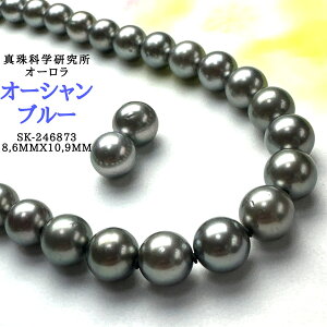 y^ȊwI[I[Vu[8.6mmx10.9mm2_SETz v`iubN I[Vu[ ^ O[ 