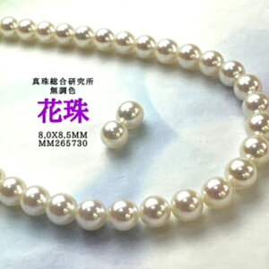 y^쑍 F Ԏ8.0mmx8.5mm2_SETziPSH擾ρjFԎӕʏ lbNX 8.0mmx8.5mm p[lbNX i^lbNX AR^ ōi {^j w Ǝ@