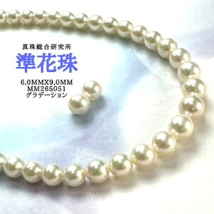 y^쑍 Ԏ Of[V6.0mmx9.0mm2_SETziPSH擾ρjԎӕʏ lbNX p[lbNX i^lbNX AR^ ōi {^j w Ǝ@