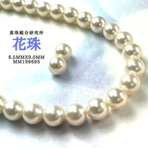 y^쑍 Ԏ 8.5mmx9.0mm2_SETziPSH擾ρjԎӕʏ lbNX 8.5mmx9.0mm p[lbNX i^lbNX AR^ ōi {^j w Ǝ@̓ Mtg