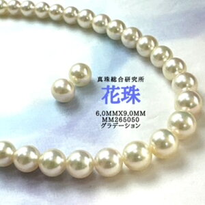 y^쑍 Of[VԎ 6.0mmx9.0mm2_SETziPSH擾ρjԎӕʏ i^lbNX AR^ ōi {^j w Ǝ@̓ Mtg